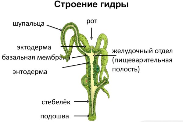 Не могу зайти на кракен