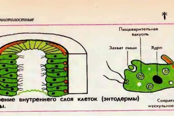 2krn cc что это