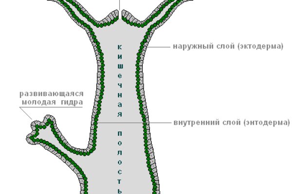 Кракен сайт ссылки актуальные